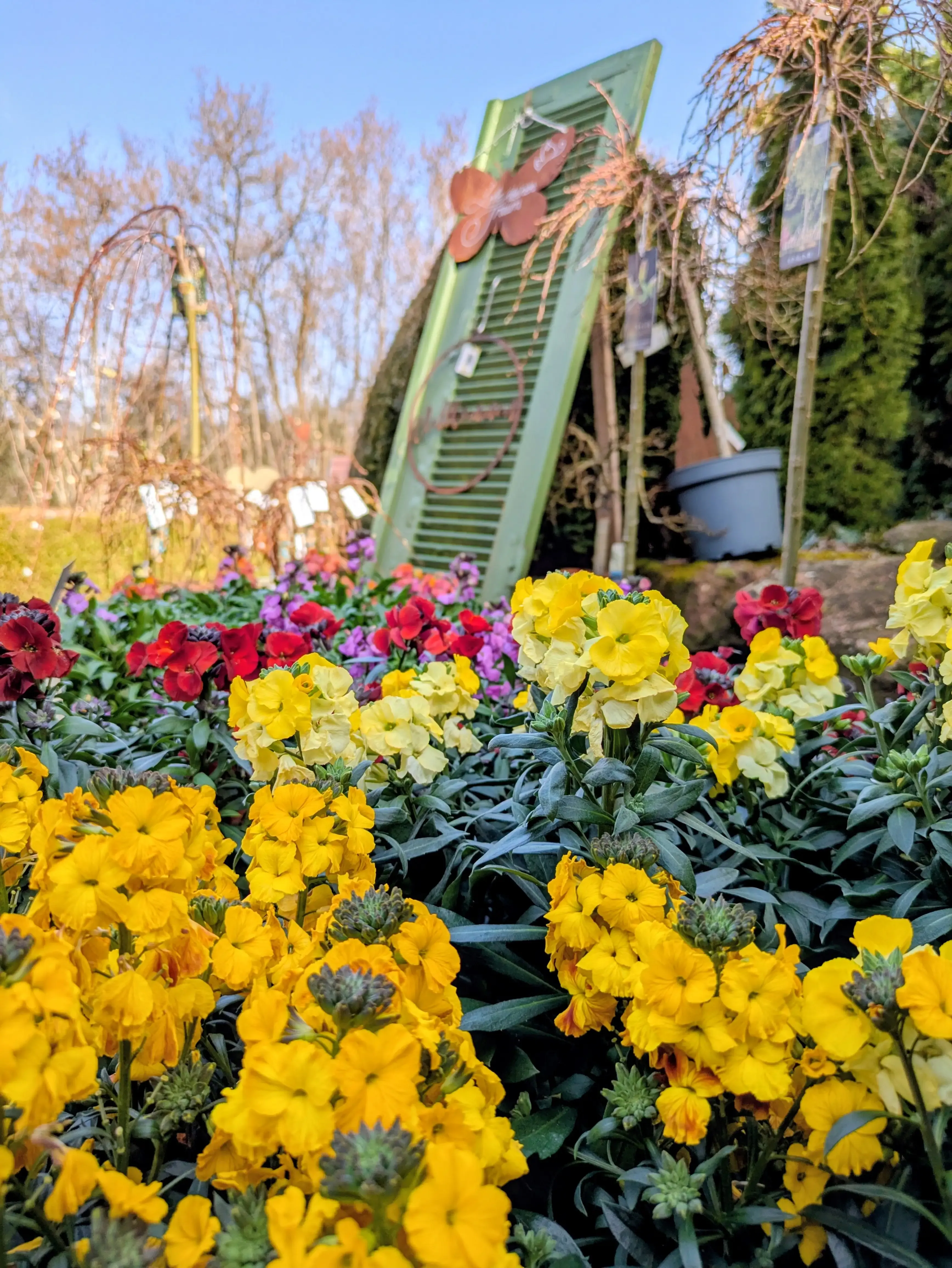 Frühlinge Impression aus Ullis Gartenecke