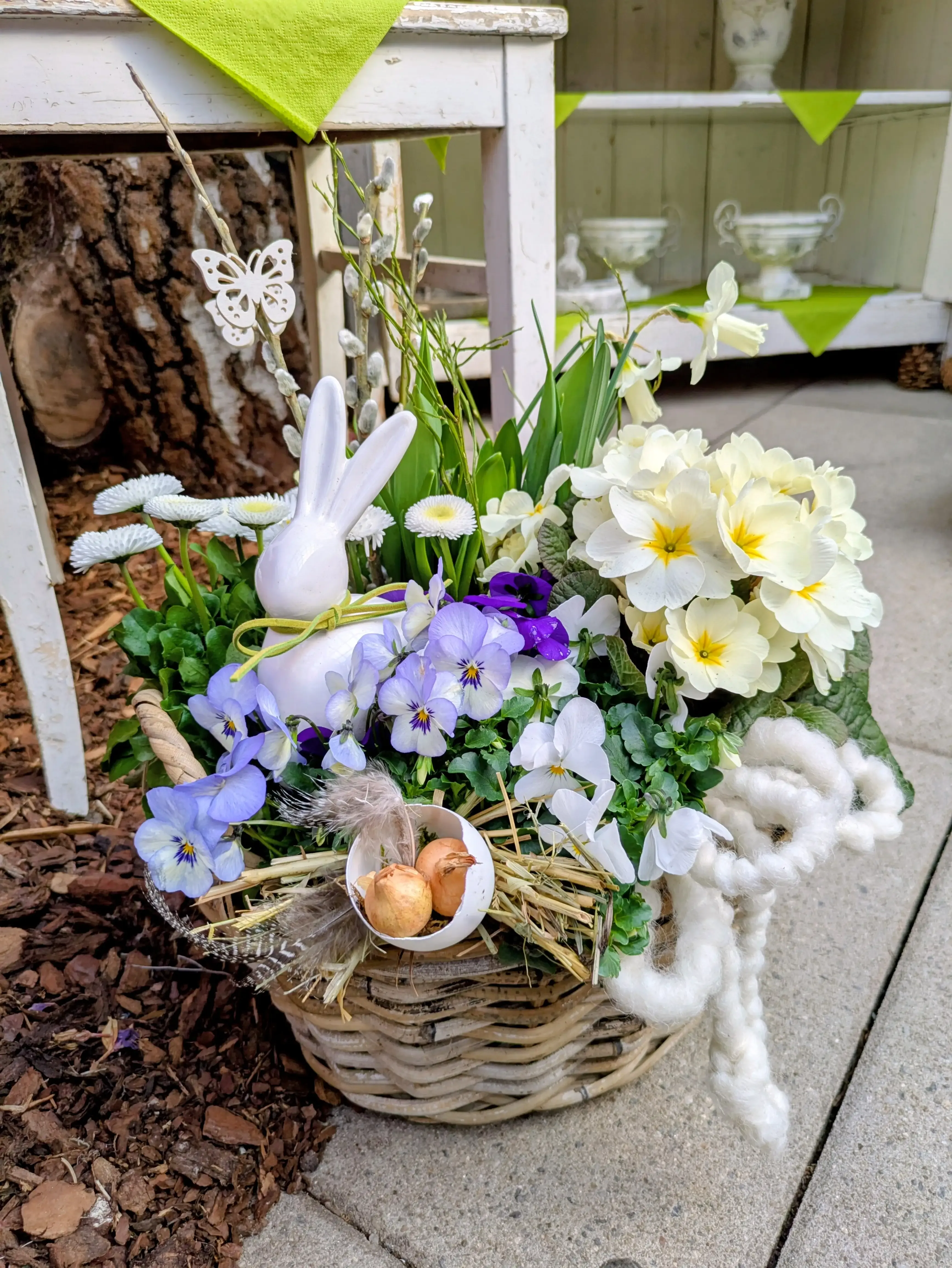 Frühlinge Impression aus Ullis Gartenecke