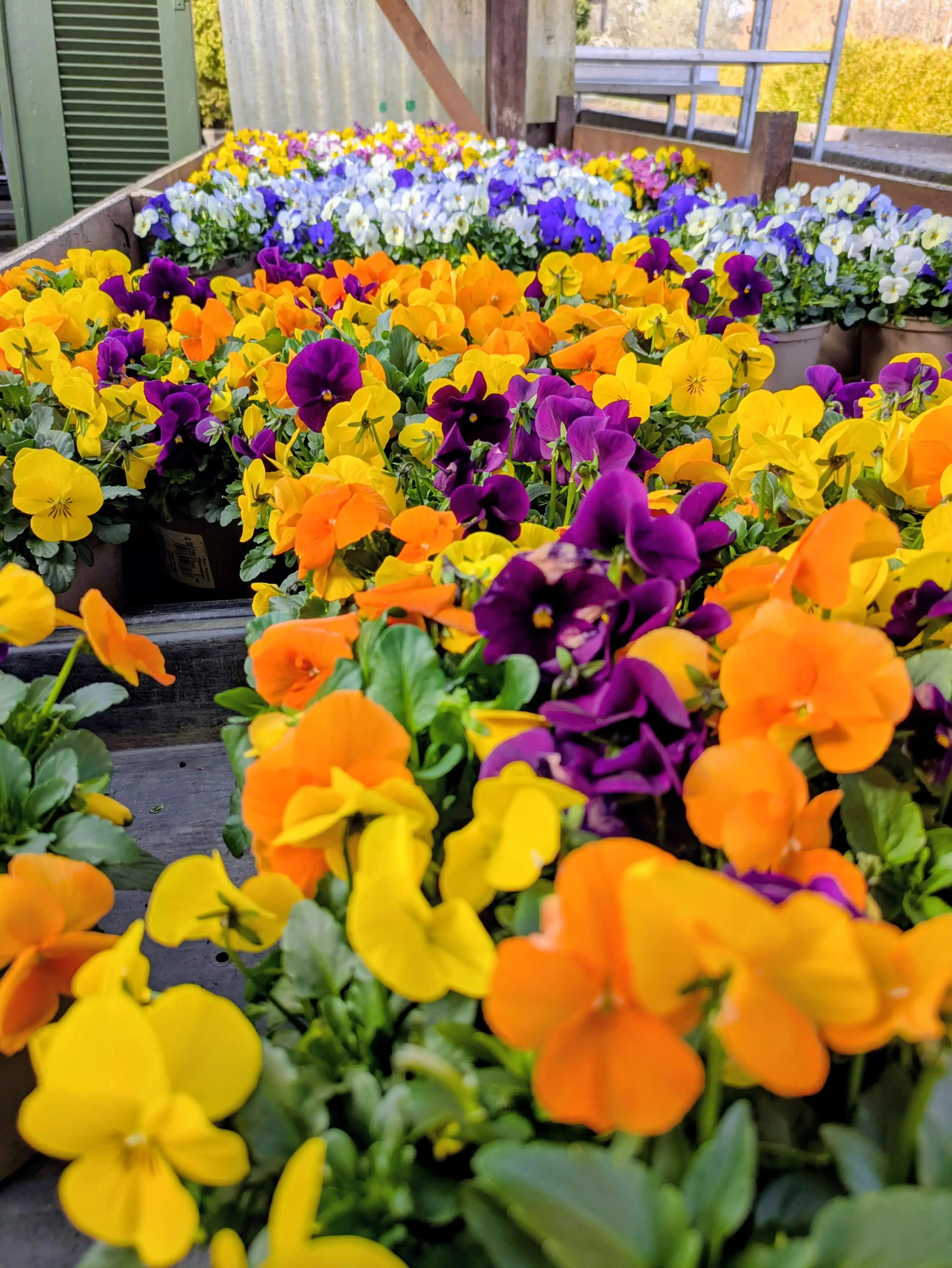 Handgefertigte florale Details und Pflanzen